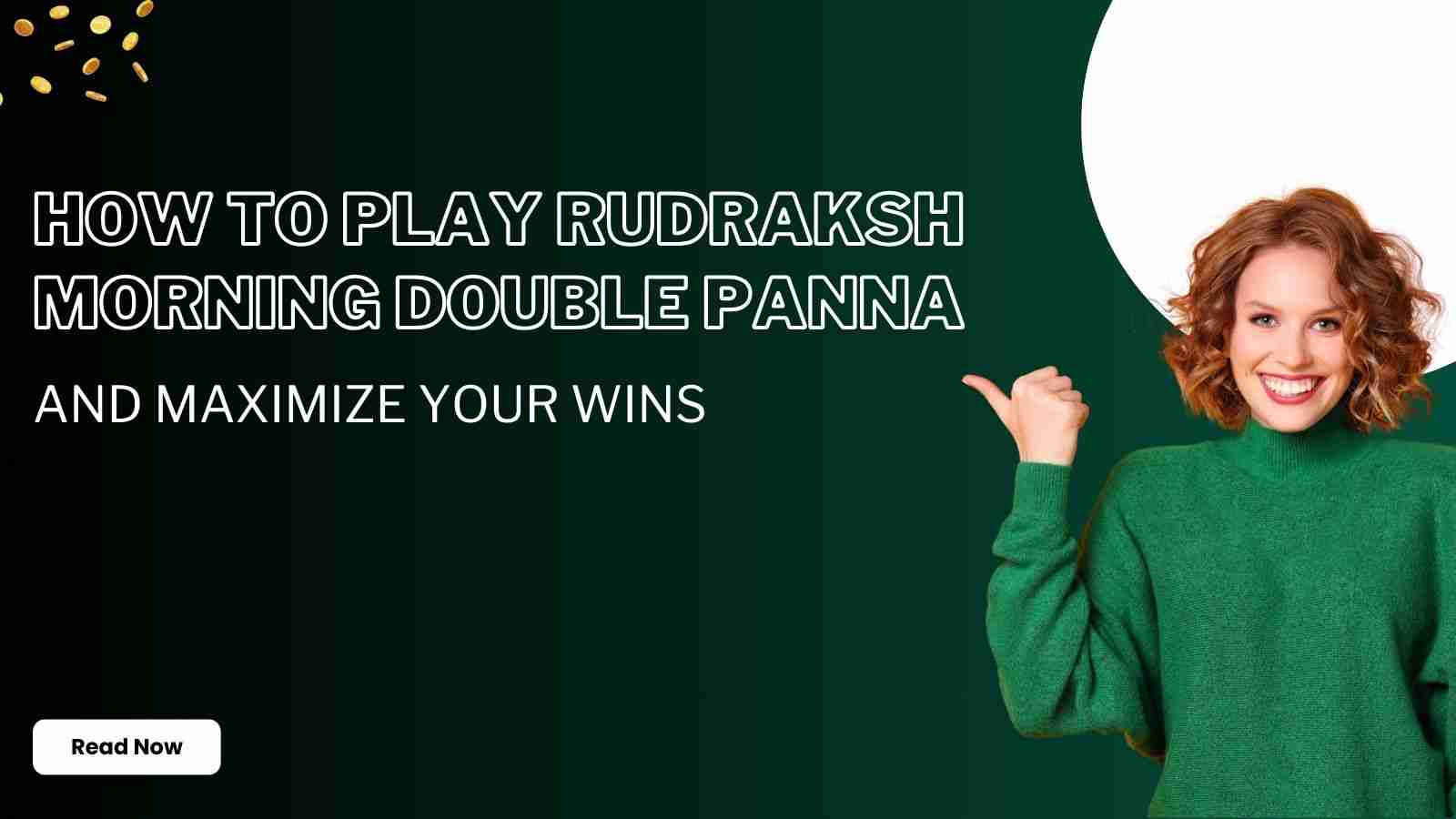 image of Play Online Rudraksh Morning Double Panna